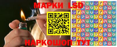 ПСИЛОЦИБИНОВЫЕ ГРИБЫ Краснодар