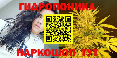 стафф Краснознаменск