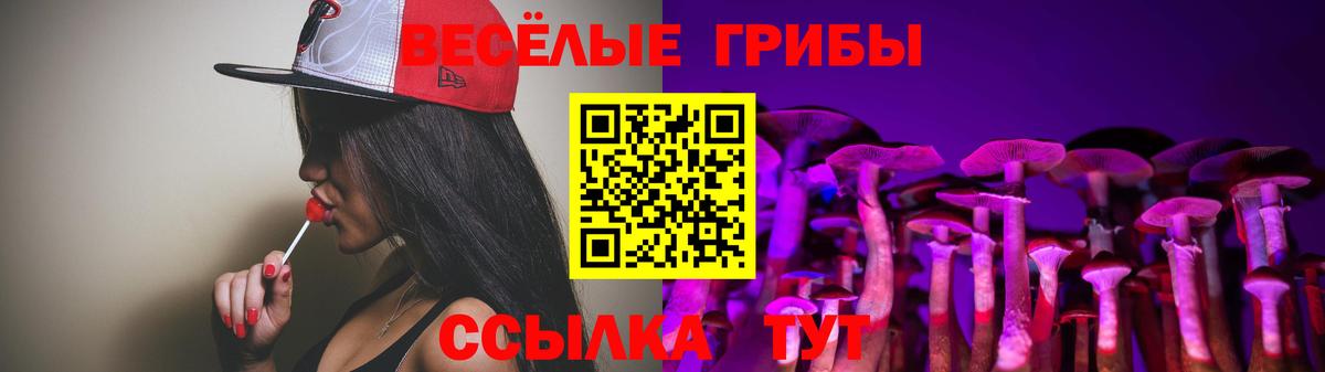 Галлюциногенные грибы ЛСД Елец